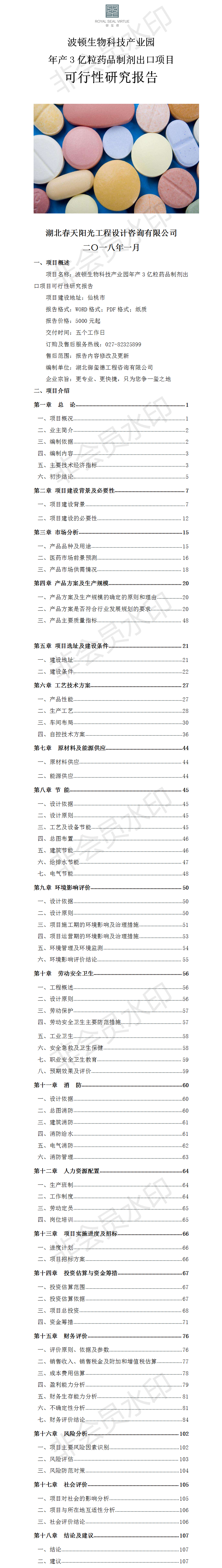 年产3亿粒药品制剂出口项目可行性研究报告 - 副本.png